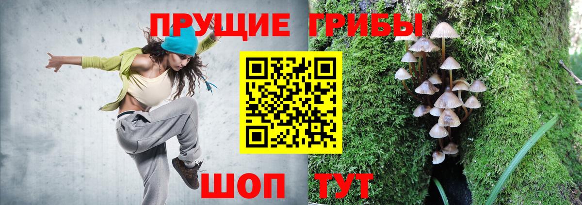 Пенза  Галлюциногенные грибы Psilocybe  Вход с VPN 